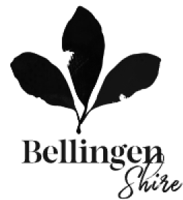 Bellingen Shire Council - Logo